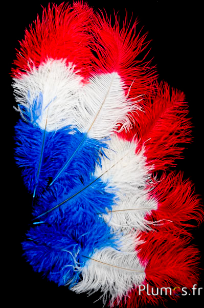 Autruche - 30-40 cm - bleu-blanc-rouge